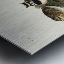 Shore Lark Metal print