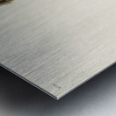 Tengmalms Owl Metal print