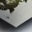 Small Green Crested Flycatcher Metal print