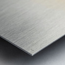 Glossy Ibis Metal print