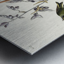 American Golden crested-Wren Metal print