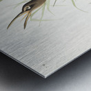 Salt Water Marsh Hen Metal print