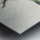 Prothonotary Warbler Metal print