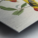 Louisiana Tanager and Scarlet Tanager Metal print