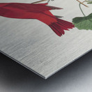 Summer Red Bird Metal print