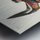 Turn-stone Metal print