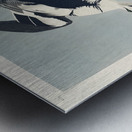 Smew or White Nun Metal print