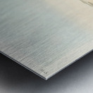 Havells Tern and Trudeaus Tern Metal print