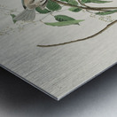 Carolina Titmouse Metal print