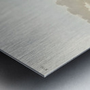 Least Water-hen Metal print