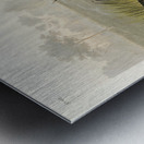 Spotted Sandpiper Metal print