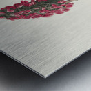 Bonapartes Flycatcher Metal print