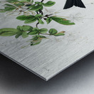 Wood Pewee Metal print