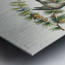 Pine Finch Impression metal