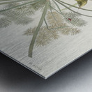 Prairie Warbler Impression metal