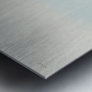 Sanderling Metal print