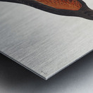 Louisiana Hawk Metal print