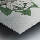 Yellow-throated Vireo Metal print