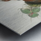 Ruffed Grouse Metal print