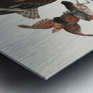 Virginian Partridge Metal print