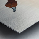 Red-headed Duck Metal print