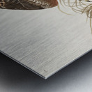 Winter Hawk Metal print