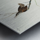Marsh Wren Metal print