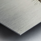 Wilsons Phalarope Metal print