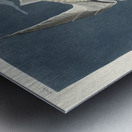 Lesser Tern Metal print