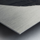 Black Backed Gull Metal print