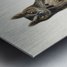 Great Horned Owl Metal print