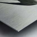 Arctic Yager Metal print