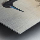 Blue Crane or Heron Metal print