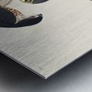 Sharp-shinned Hawk Metal print