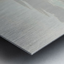 Greenshank Metal print