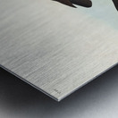 White-legged Oyster-catcher or Slender-billed Oyster-catcher Metal print