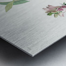 Green Black-Capt Flycatcher Metal print