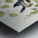 Loggerhead Shrike Metal print