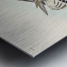 Black-bellied Plover Metal print