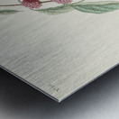 Blue-green Warbler Metal print