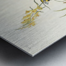 Black-Throated Bunting Metal print