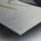 Scaup Duck Metal print