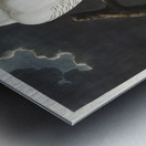 Snowy Owl Metal print