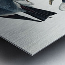 Mississippi Kite Metal print