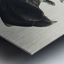 Labrador Falcon Metal print