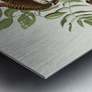 American Sparrow Hawk Metal print