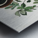 Brown Pelican Metal print