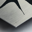 American Magpie Metal print