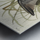 Solitary Sandpiper Metal print