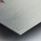 Henslows Bunting Metal print